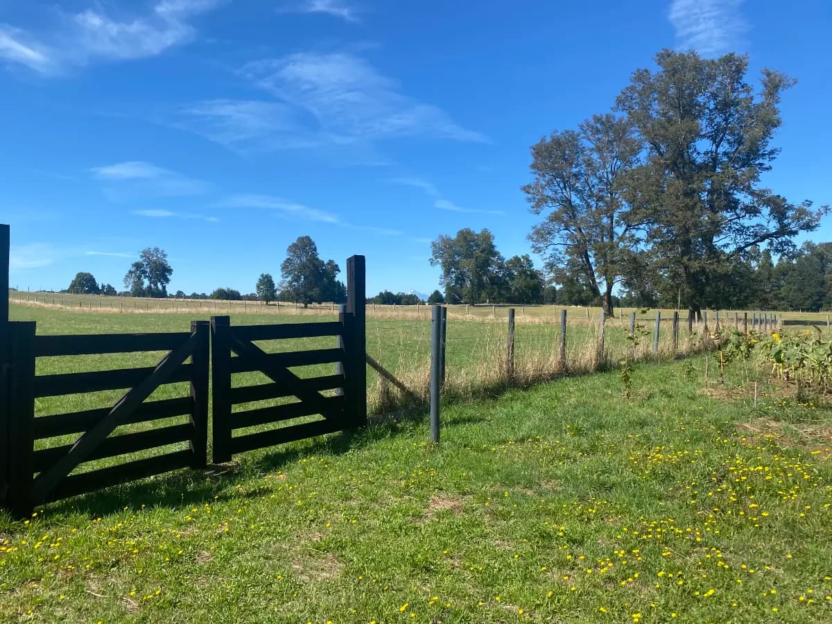 Faja 18.000, Cunco, Región de La Araucanía 4890000, Chile