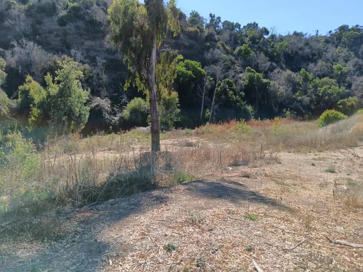 Camino San Enrique, Santo Domingo, Región de Valparaíso 2720000, Chile