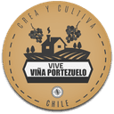 Logo Vive Portezuelo