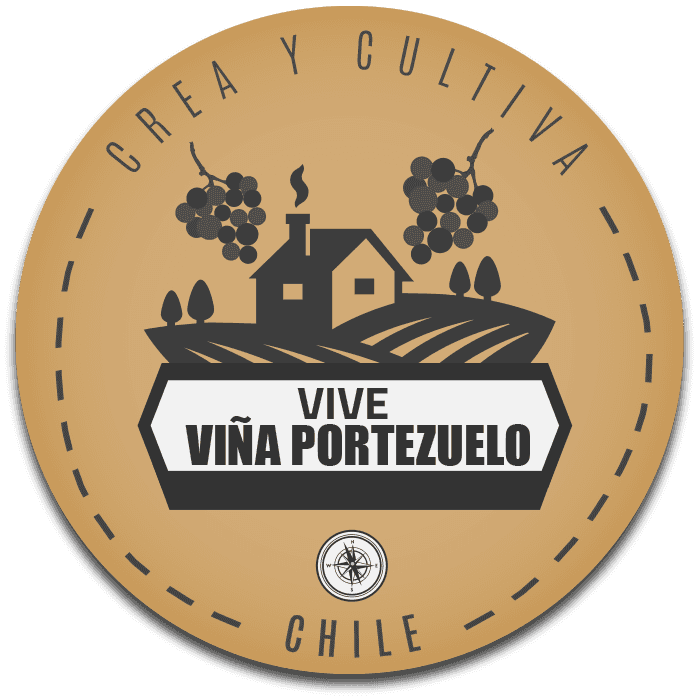 Vive Portezuelo logo