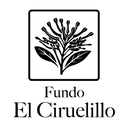 Logo Fundo El Ciruelillo