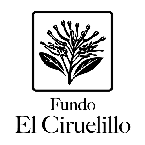 Fundo El Ciruelillo logo