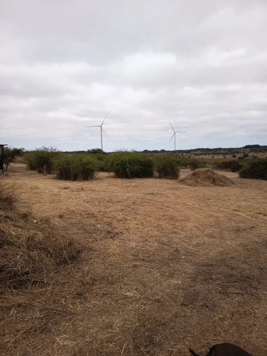 Litueche, Región de O'Higgins, Chile