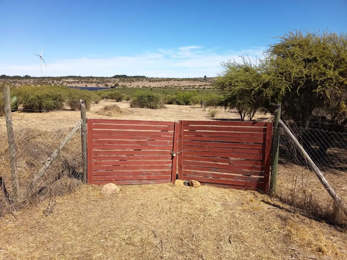 Litueche, Región de O'Higgins, Chile