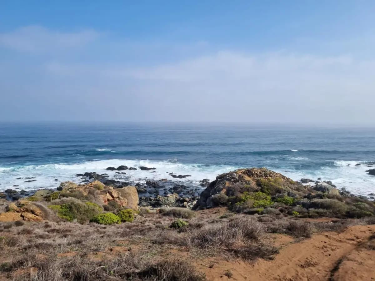 Ruta 5 Norte 5, La Ligua, Región de Valparaíso 2030000, Chile