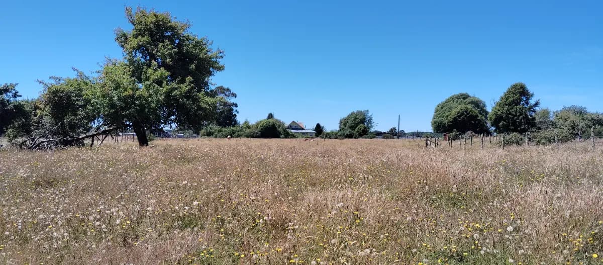 Ruta W-121, Ancud, Región de Los Lagos 5710000, Chile