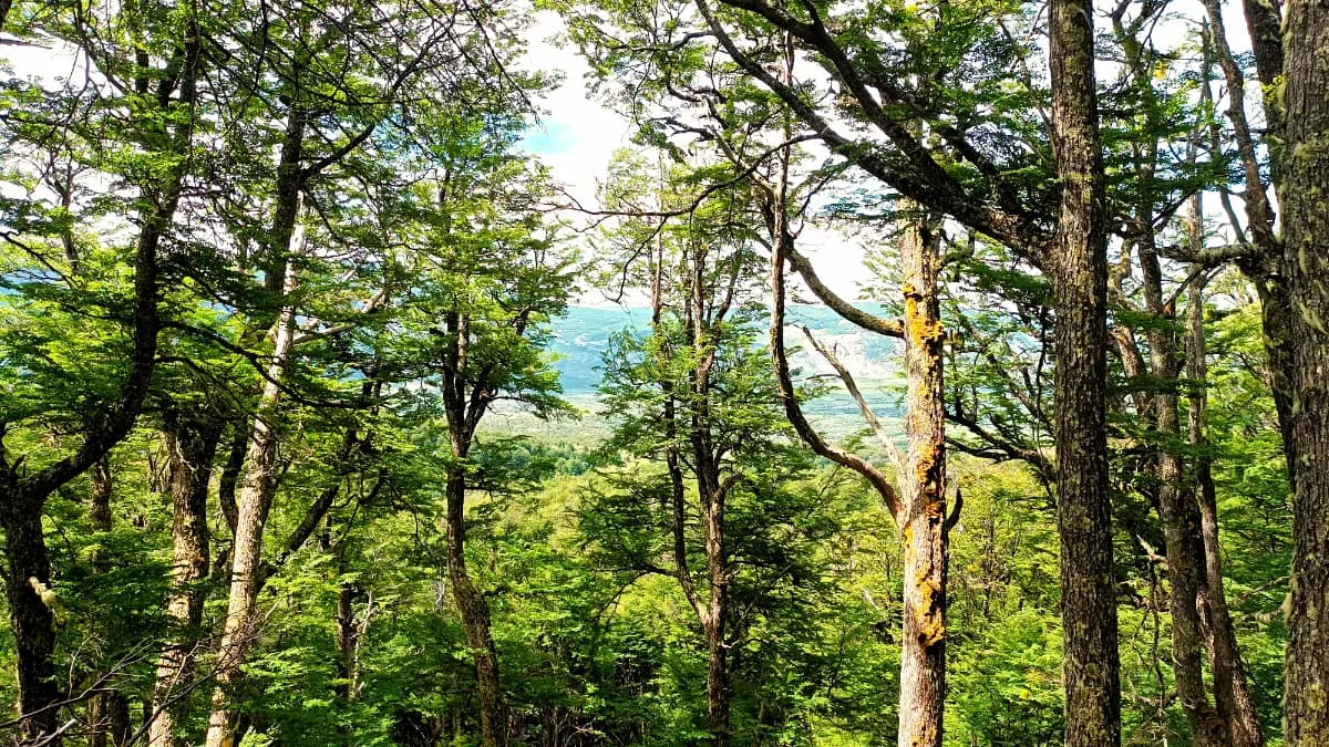 Lago Largo, Coyhaique, Región de Aysén del General Carlos Ibáñez del Campo 5950000, Chile