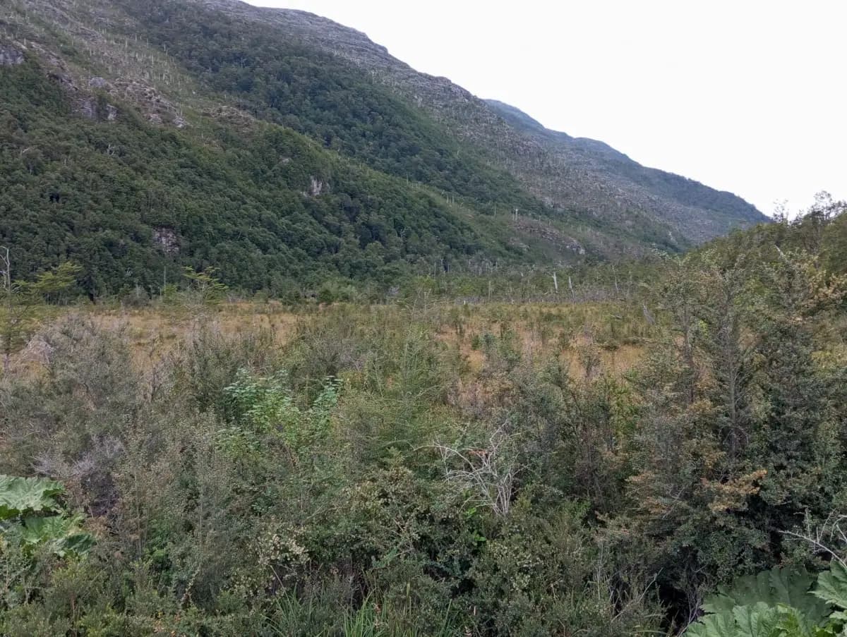 Tortel, Región de Aysén del General Carlos Ibáñez del Campo, Chile