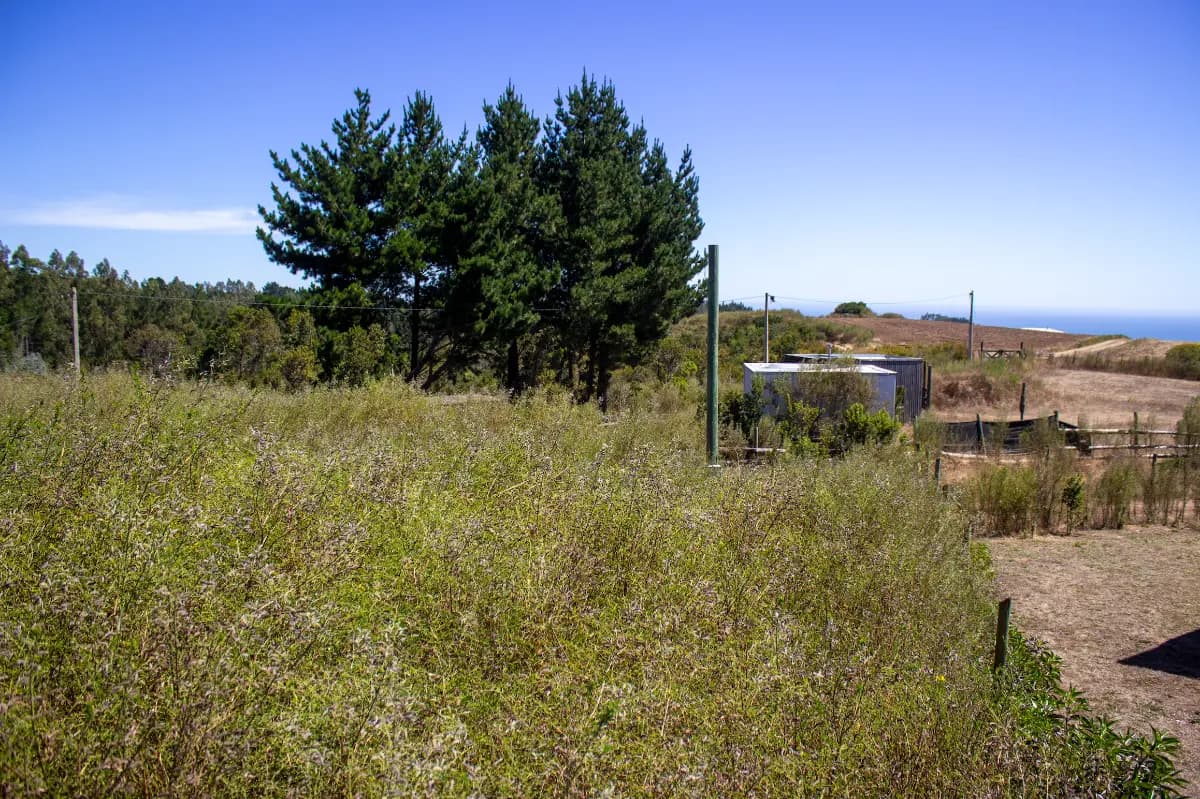 Cobquecura, Región de Ñuble, Chile