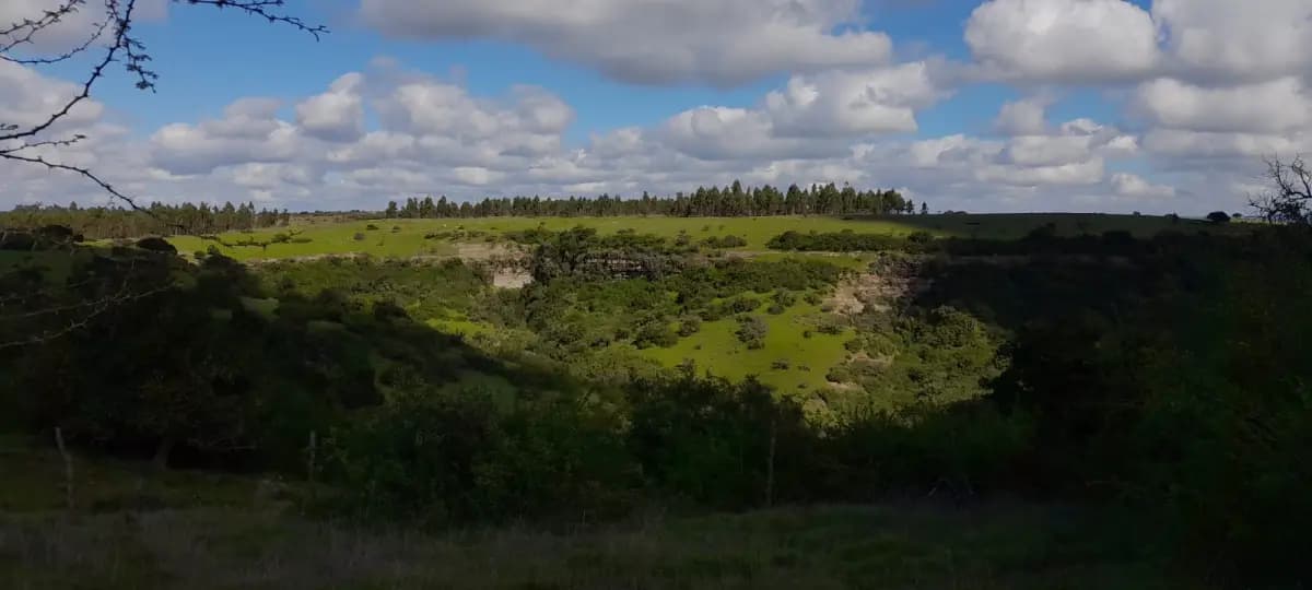 Litueche, Región de O'Higgins, Chile