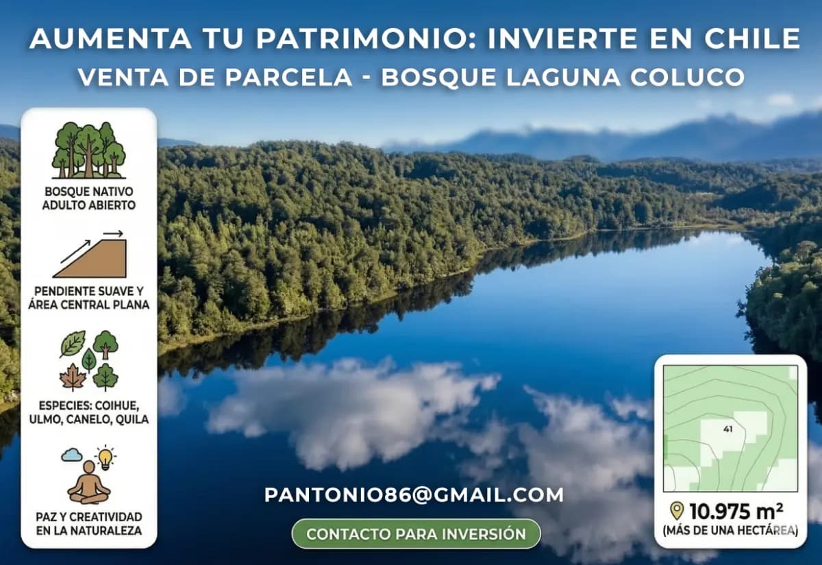 Río Chepu, Ancud, Región de Los Lagos 5710000, Chile