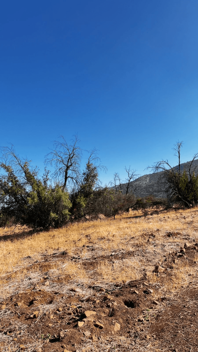 San Francisco Lodge, San Esteban, Región de Valparaíso 2120000, Chile