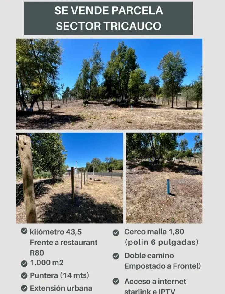 Tricauco, Santa Juana, Región del Biobío, Chile