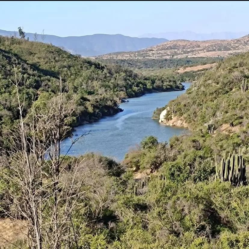 Limache, Limache, Región de Valparaíso 2240000, Chile