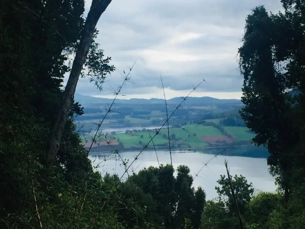 Lago Riñihue, Valdivia, Región de Los Ríos 5090000, Chile