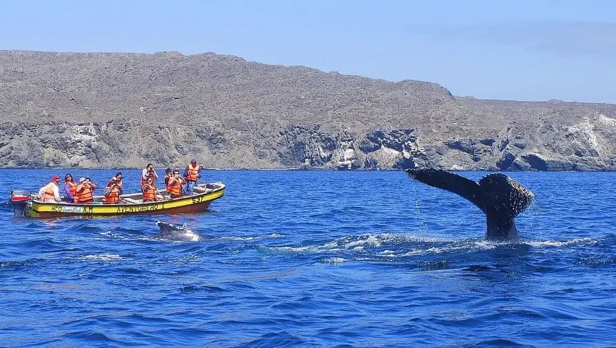 Los Choros, La Higuera, Región de Coquimbo, Chile