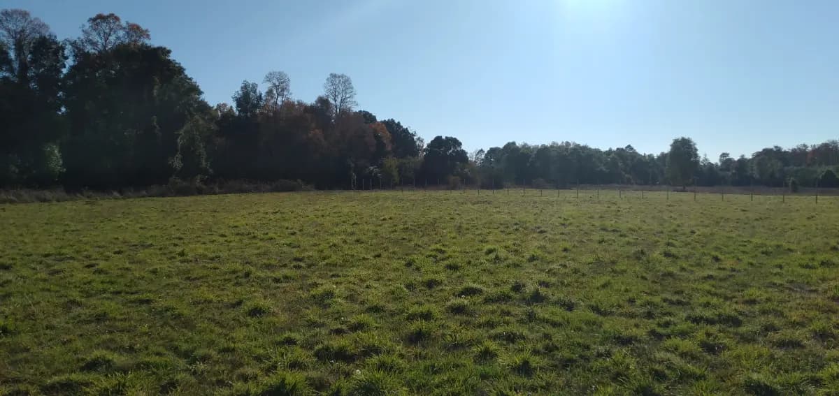 Corte Alto, Purranque, Región de Los Lagos, Chile