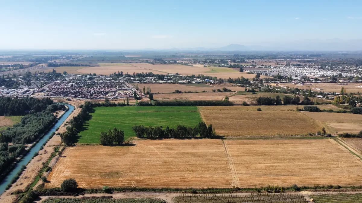 Buenos Aires, San Clemente, Región del Maule 3520000, Chile