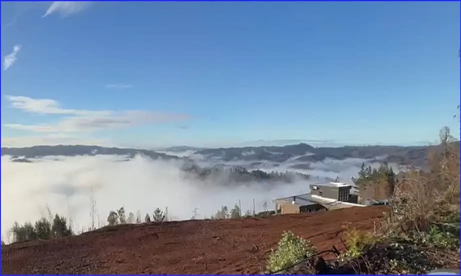 Palomares, Concepción, Región del Biobío, Chile