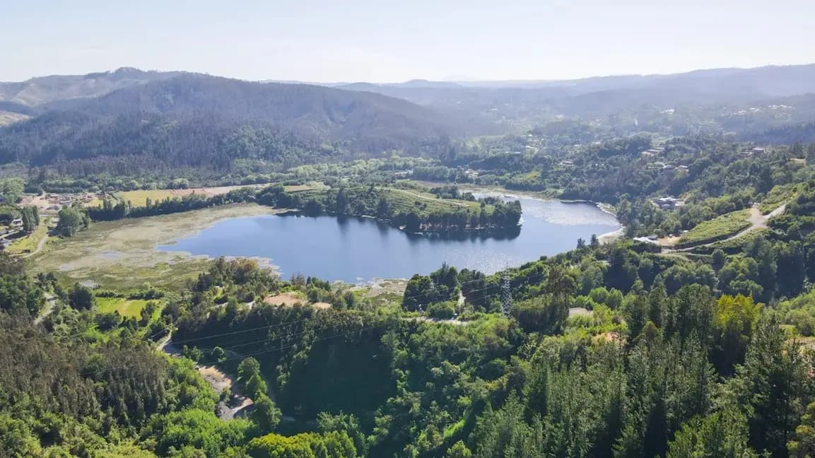 Palomares, Concepción, Región del Biobío, Chile