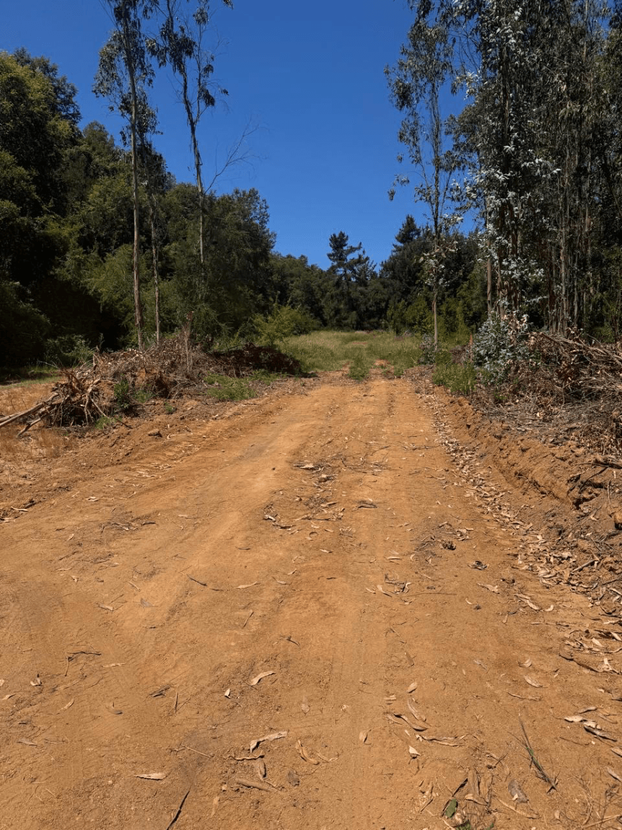 Florida, Región del Biobío, Chile