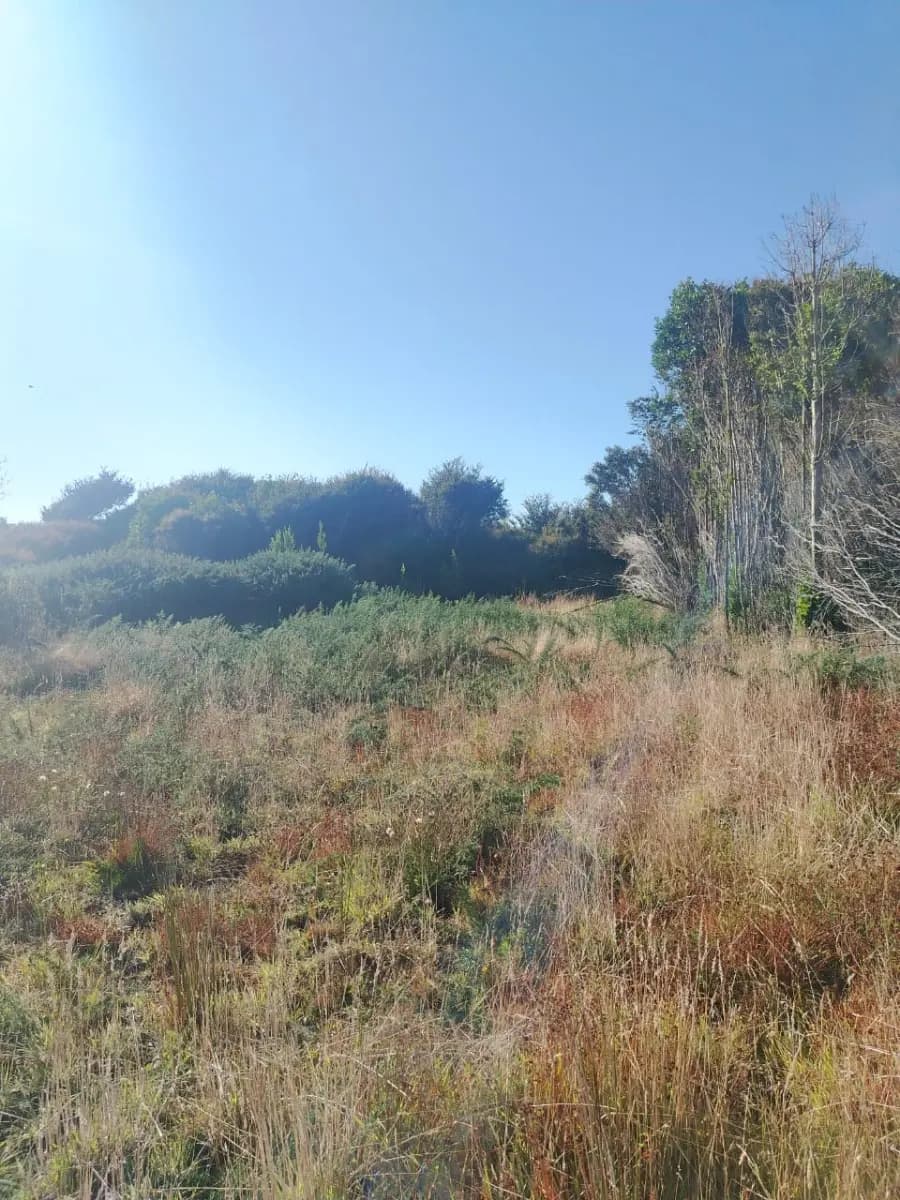 Ruta W-160, Ancud, Región de Los Lagos 5710000, Chile