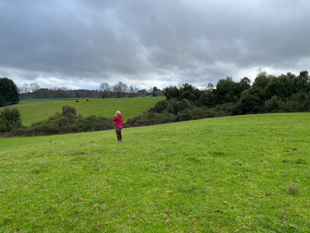 Caupolicán 80, La Unión, Región de Los Ríos 5220000, Chile