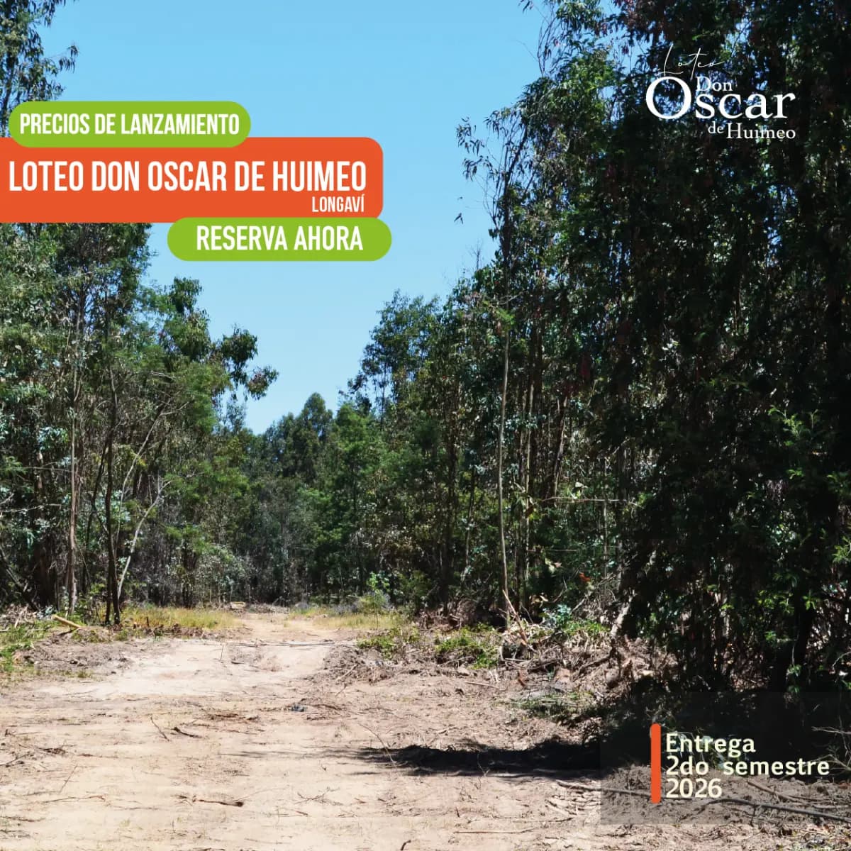 Camino Huimeo - San Gabriel, Longaví, Región del Maule 3620000, Chile