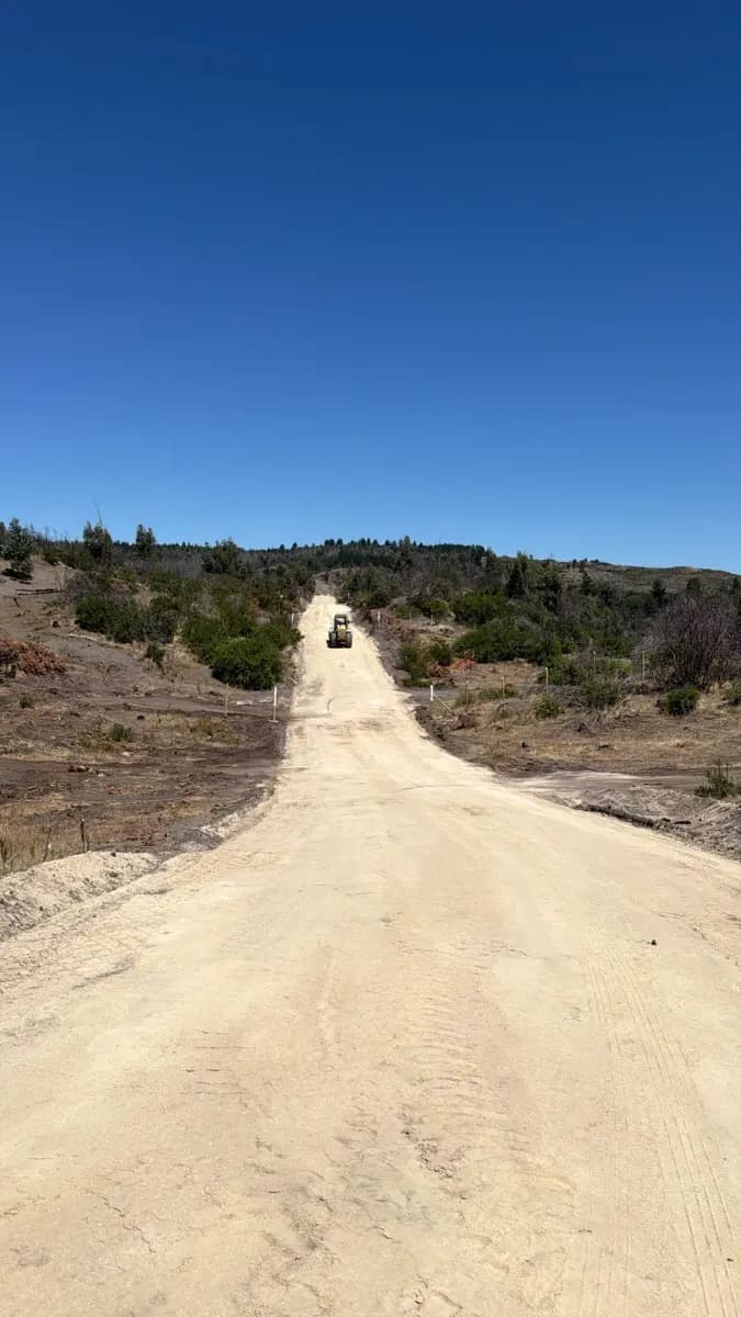 Camino a Laguna Flores, Yumbel, Región del Biobío 4580000, Chile