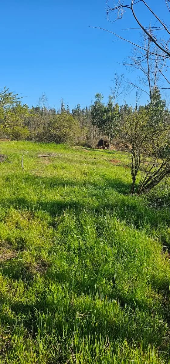 Limache, Región de Valparaíso, Chile