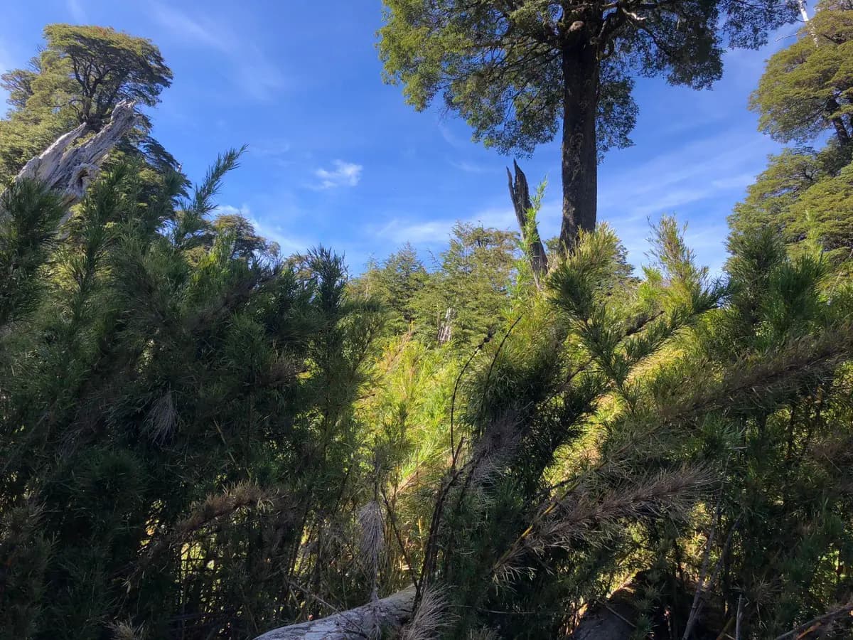 Melipeuco, Región de La Araucanía, Chile