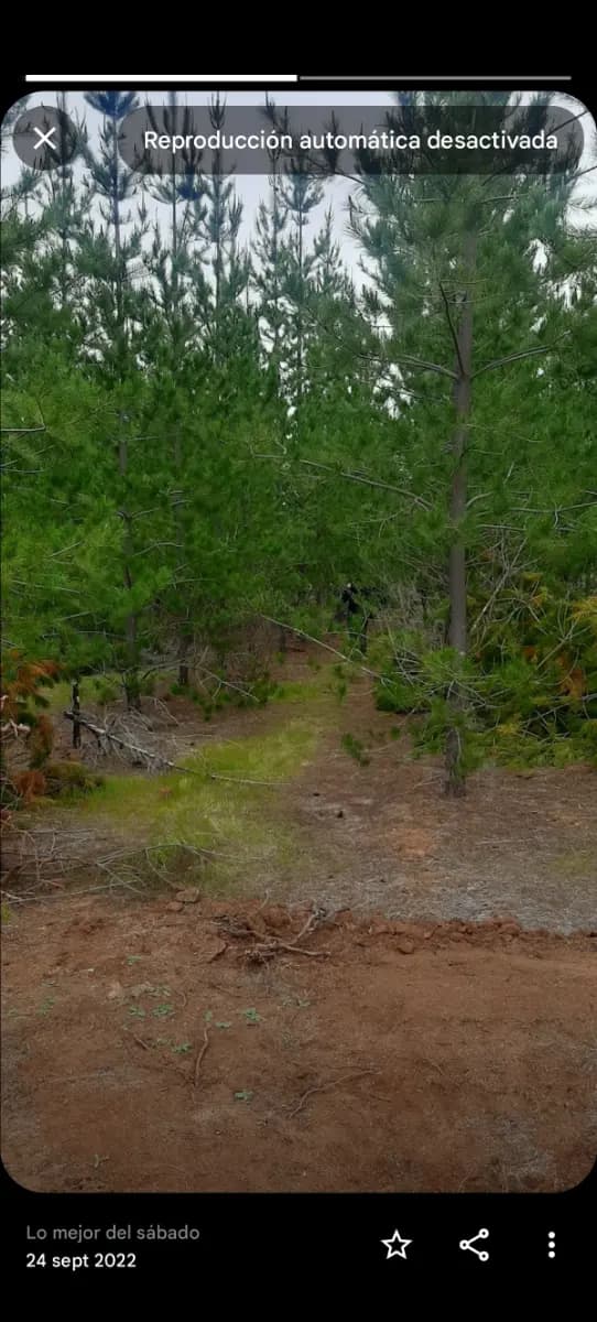 Paredones, Región de O'Higgins, Chile