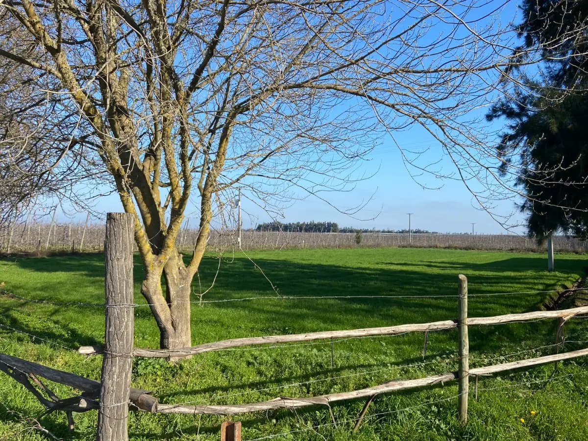 Cruce I-890 - Santa Teresa, Chimbarongo, Región de O'Higgins 3090000, Chile