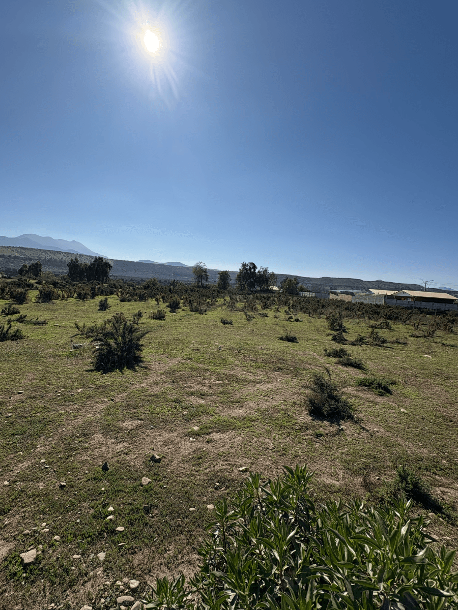 Limarí, Ovalle, Región de Coquimbo 1840000, Chile