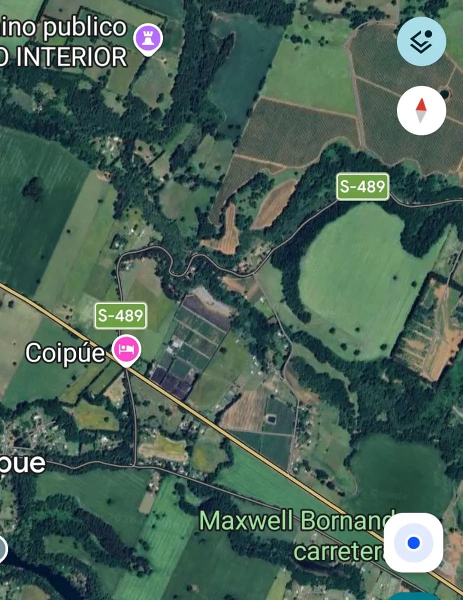 Coipué, Freire, Región de La Araucanía, Chile