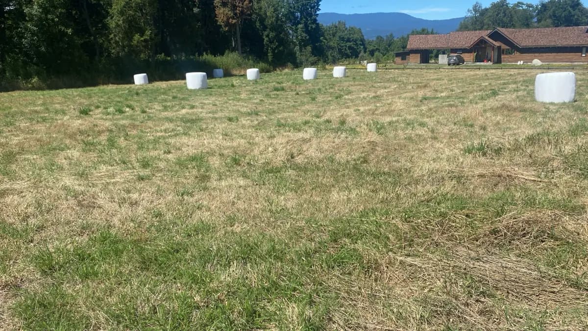 Panguipulli, Región de Los Ríos, Chile