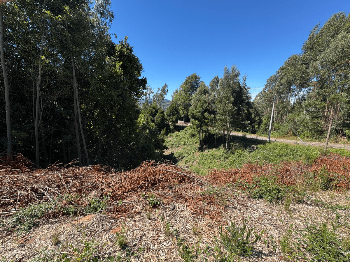 Concepción, Región del Biobío, Chile