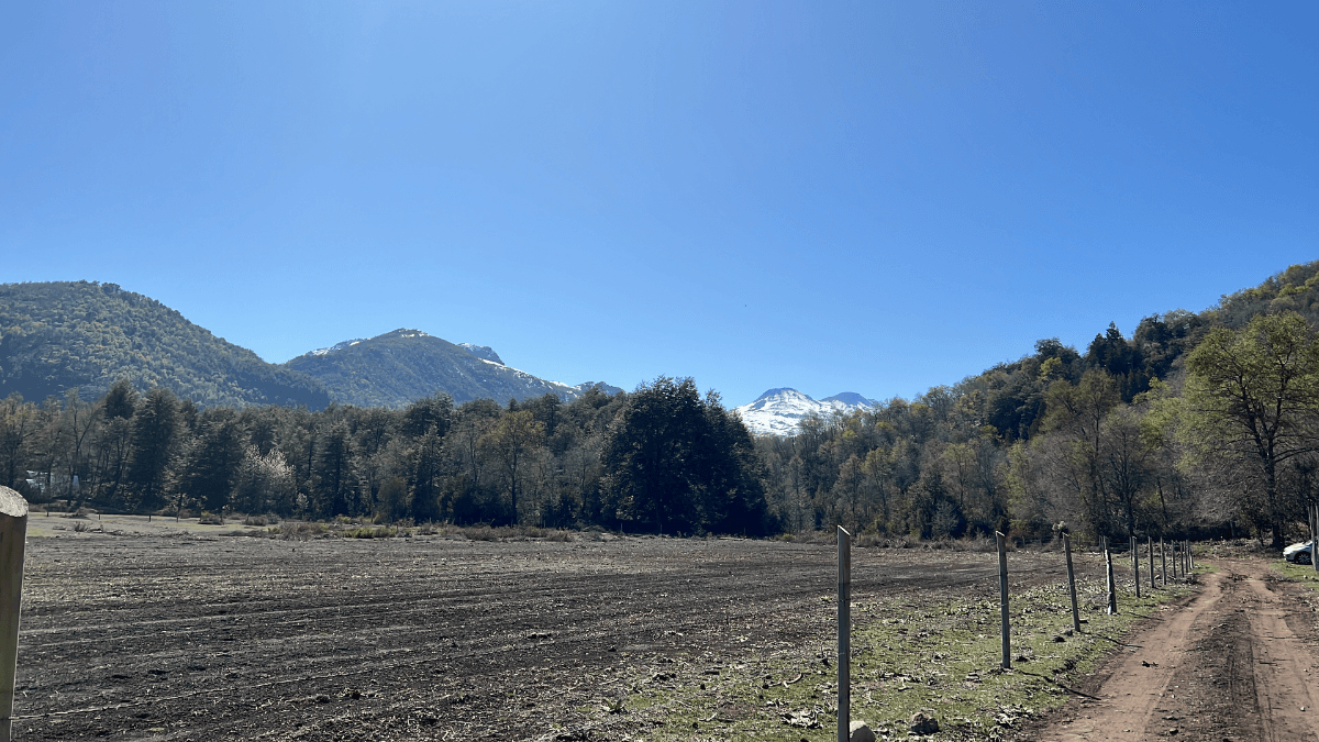 Avenida Las Trancas, Pinto, Región de Ñuble 3880000, Chile