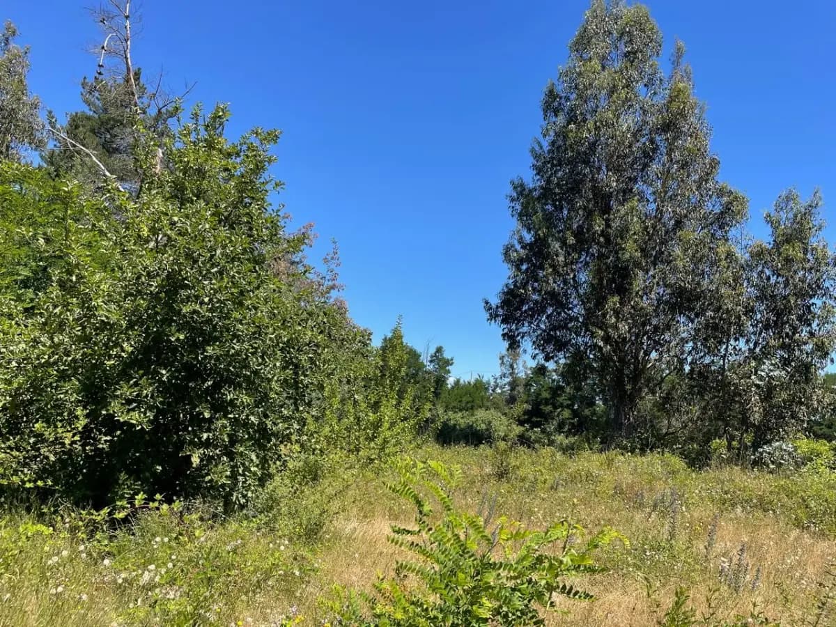 El Embalse, Coihueco, Región de Ñuble 3870000, Chile