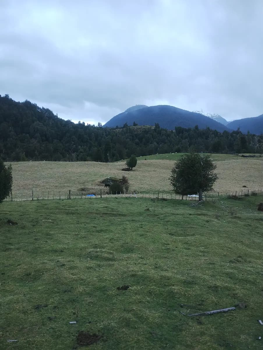 Cisnes, Región de Aysén del General Carlos Ibáñez del Campo, Chile