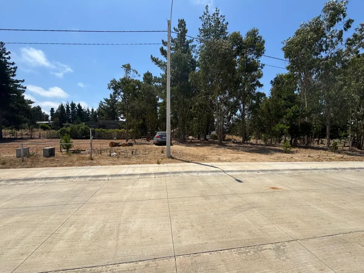 Huallilemu, El Quisco, Región de Valparaíso 2700000, Chile