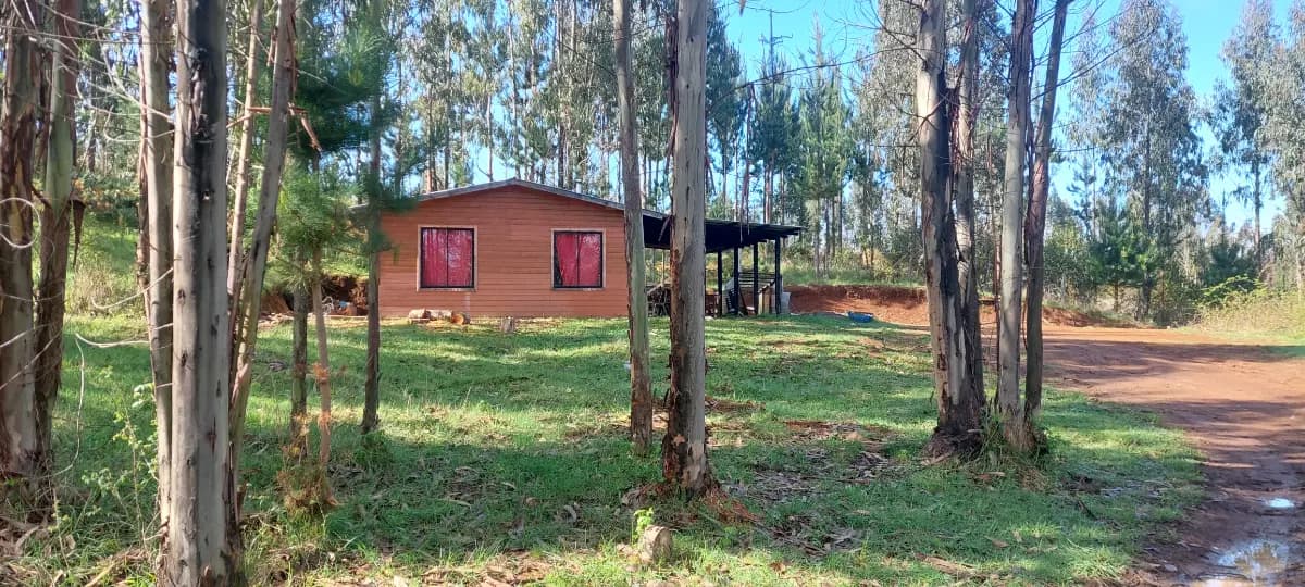 Mariquina, Región de Los Ríos, Chile