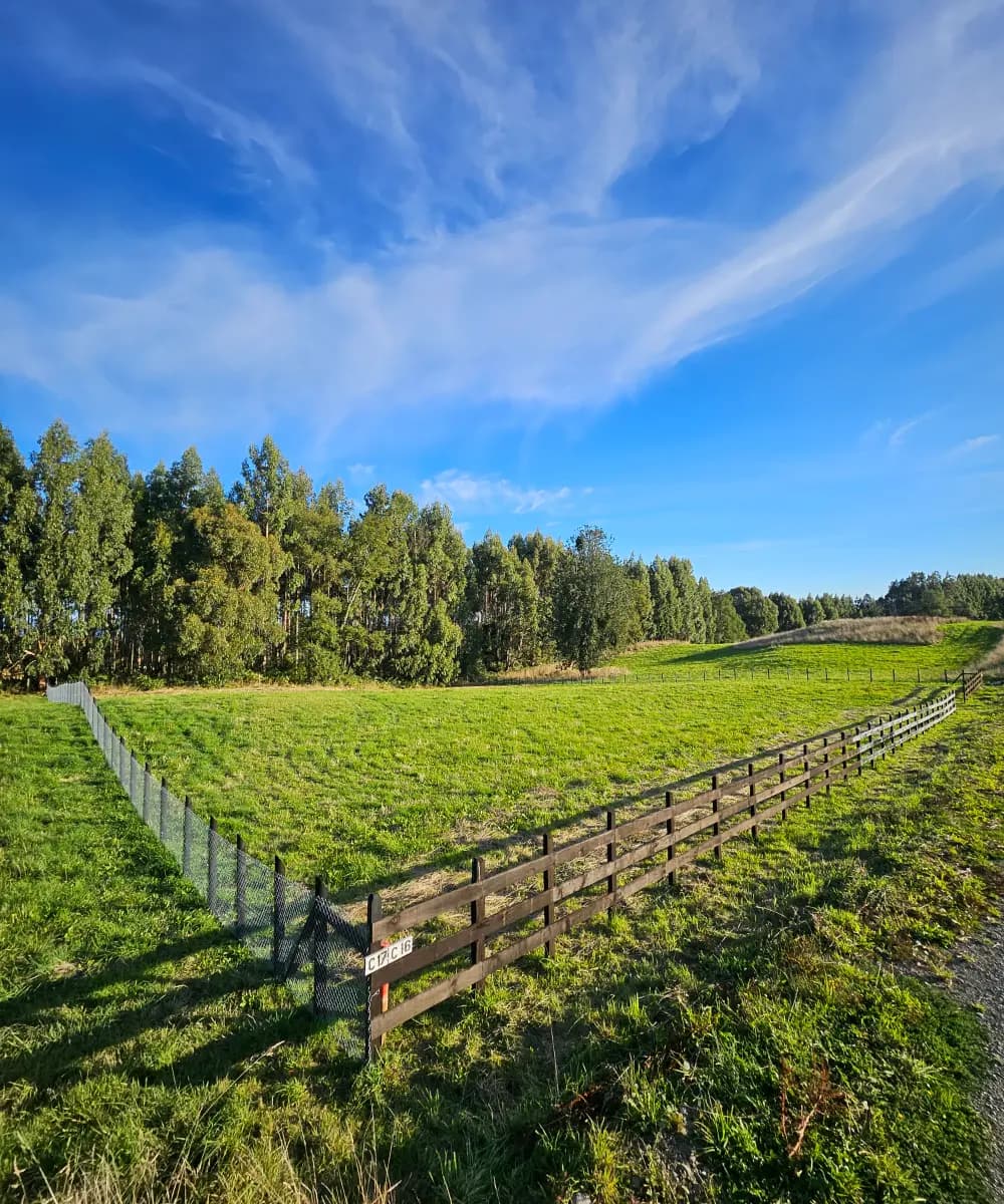 Paillaco, Región de Los Ríos, Chile
