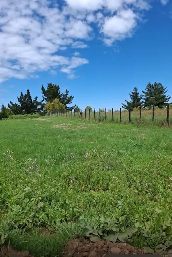 La Unión, Región de Los Ríos, Chile