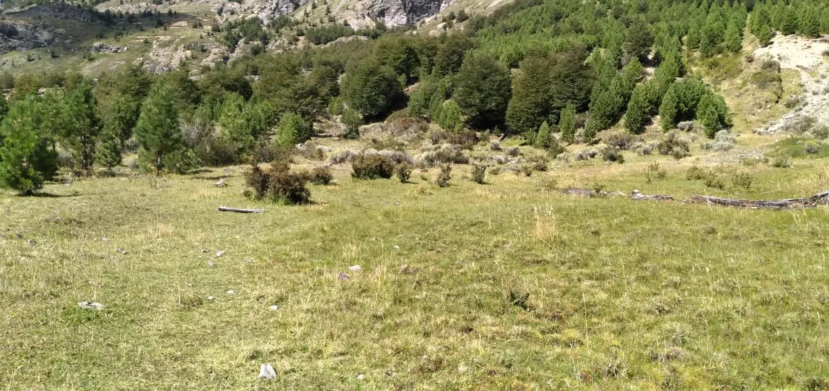 Ruta X-423, Aysén, Región de Aysén del General Carlos Ibáñez del Campo 6000000, Chile