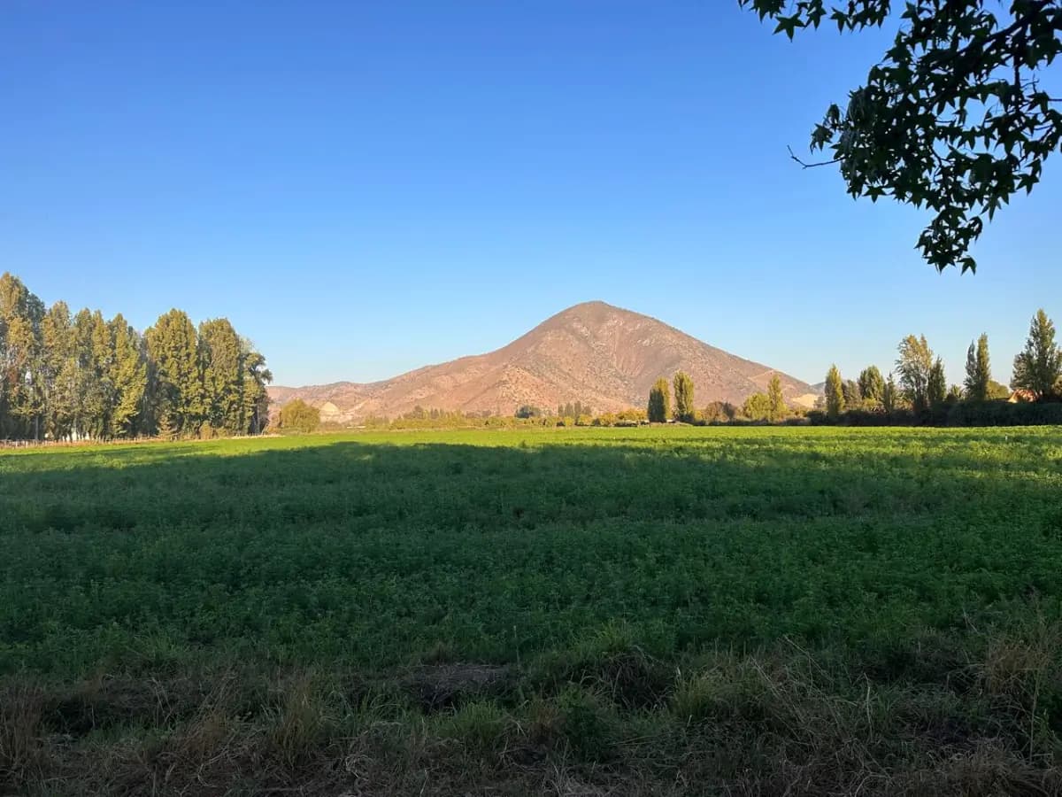 Camino El Manzano, Talagante, Región Metropolitana de Santiago 9670000, Chile