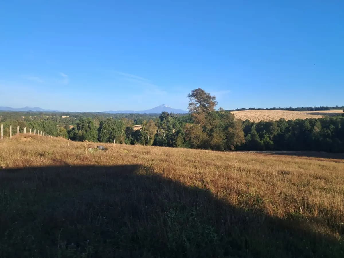 Quinta Faja, Gorbea, Región de La Araucanía 4960000, Chile