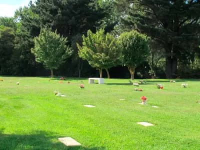 Camino a Penco, Penco, Región del Biobío 4150000, Chile