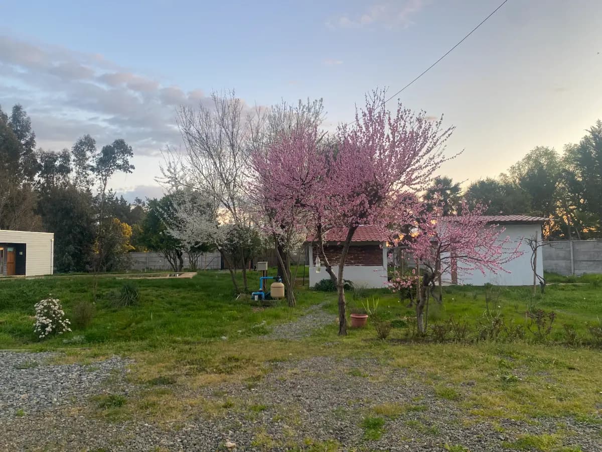 Panimávida, Colbún, Región del Maule, Chile