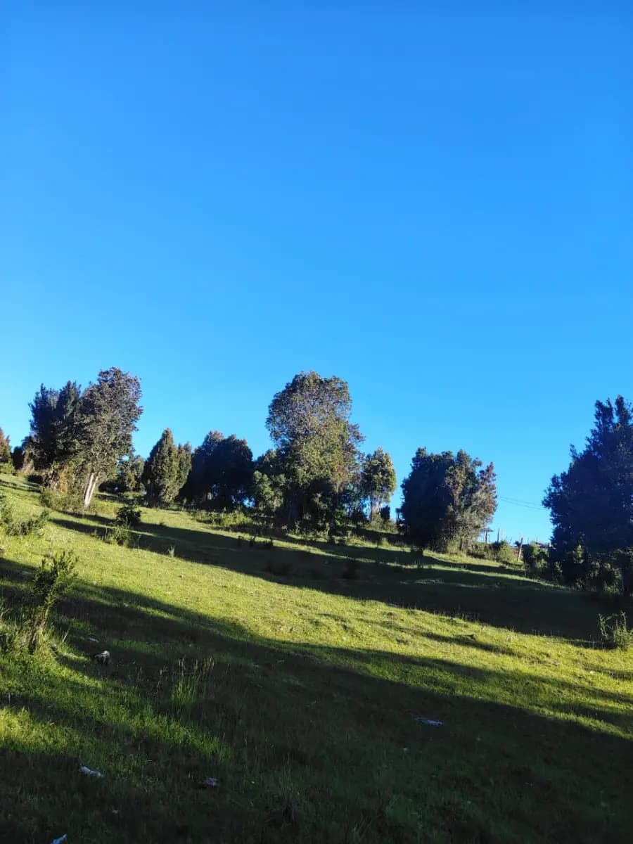 Las Minas, Valdivia, Región de Los Ríos 5090000, Chile